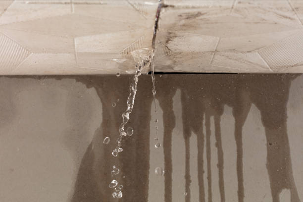 Professional Water Damage Repair technician working in Rabun Gap, GA